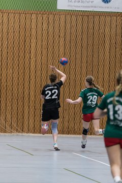 Bild 191 - Damen HSG Kremperheide/M�nsterdorf - Suchsdorfer SV : Ergebnis: 39:22